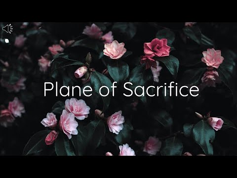 Plane of Sacrifice