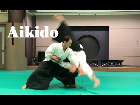 Dynamic Aikido Practice with Hiroaki Sato
