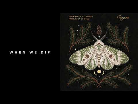Premiere: Emi Galvan & DJ Zombi - Frequency Shift [Songuara]