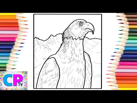 Eagle Coloring Pages/Wild Birds Coloring/Elektronomia - Dreams (Ft. Joseph Feinstein)
