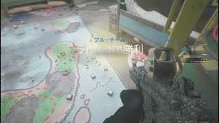 耐久戦、ビジルランクマ