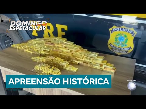 Polícia apreende milhões de reais em barras de ouro em rodovia no norte do país