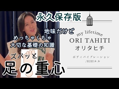 タヒチの栗の木について詳しく解説