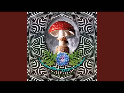 Briscoea (Original Mix)