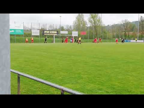 TSV Schwaikheim - TSV Pfedelbach 4:4 (2:1)