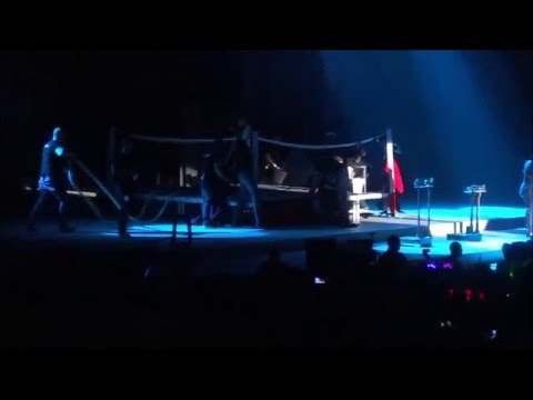 Liane Foly - la vie ne m'apprend rien - Maxime le Forestier - mon frère - Enfoirés 2016