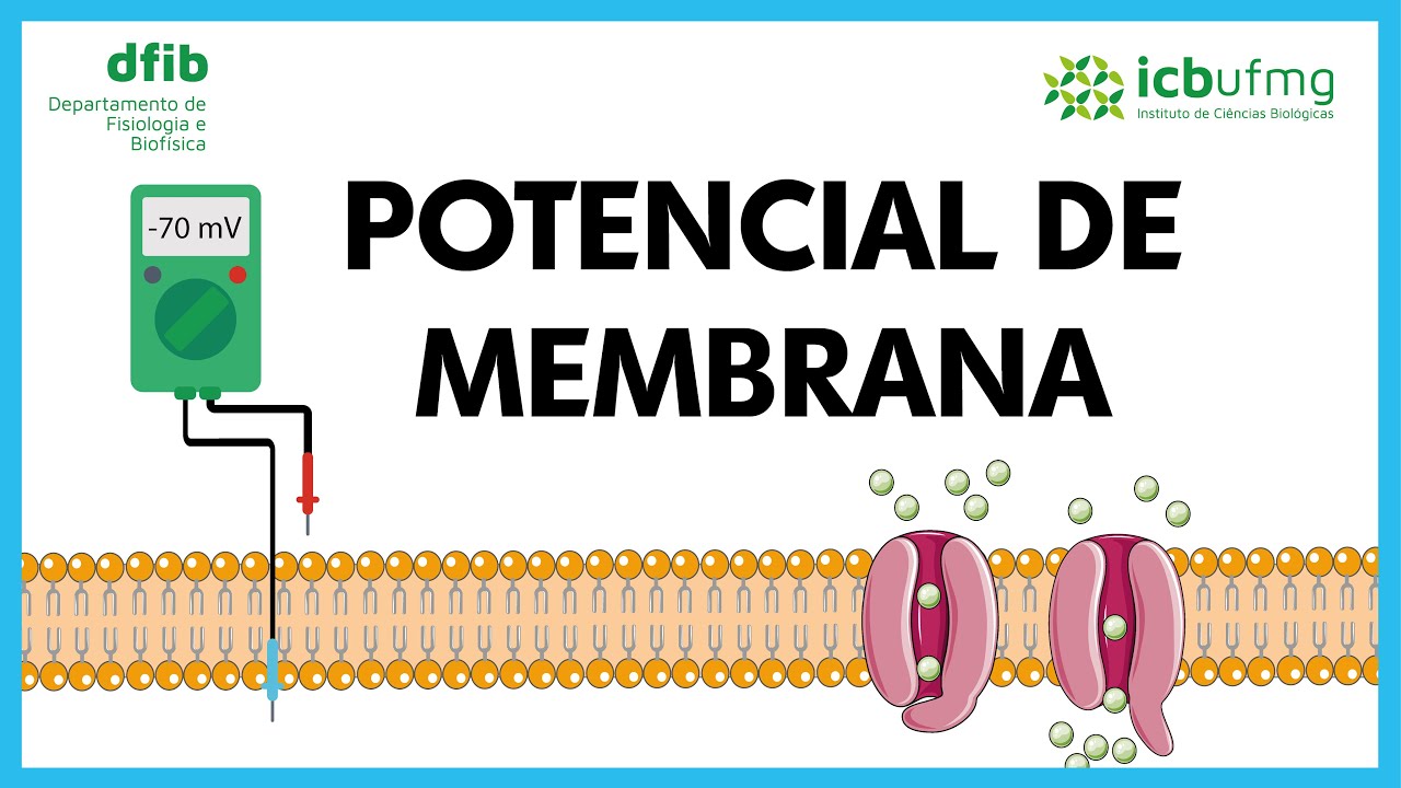 Potencial de Membrana