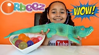 GIANT MAGIC ORBEEZ! GIANT GROWING WATER CROCODILE! Kids Science Review