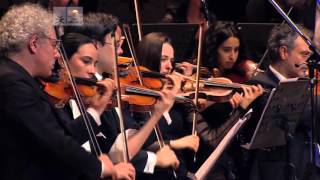 Páez en América: 11 y 6 | La Ballena Azul