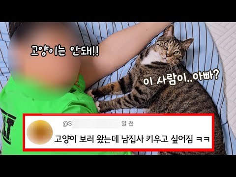 입양되고 싶었던 고양이의 놀라운 행동 : 남집사와 호동이 하이라이트만 모아 감동과 웃음, 힐링까지