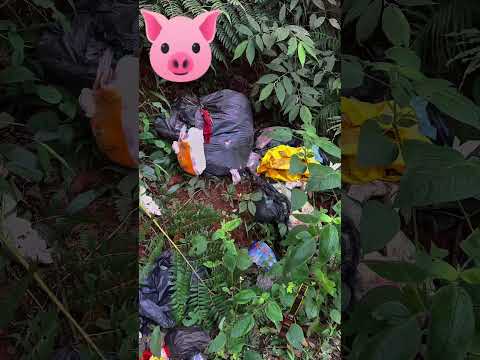 MINI LIXÃO AO LADO DO PARQUE ESGOTOLÓGICO