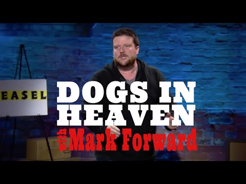 Dogs in Heaven. (Mark Forward)