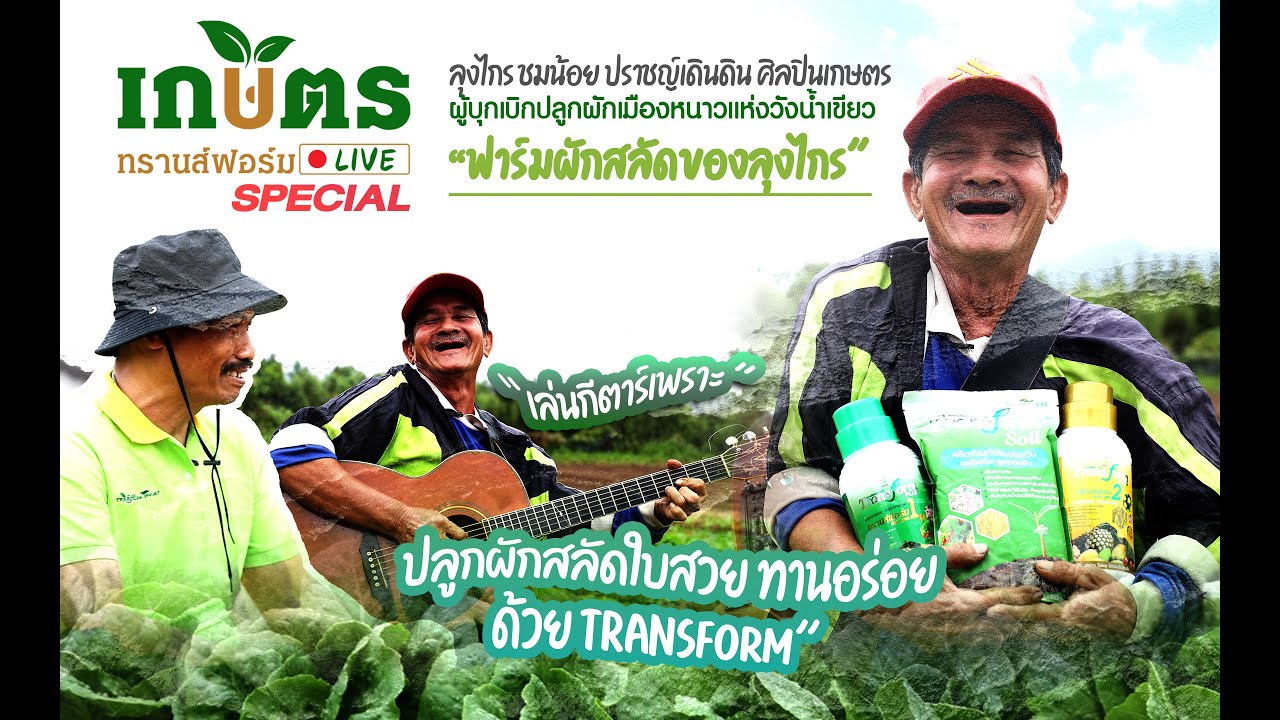 Suan Lung Krai Chemical-Free Vegetable Garden
