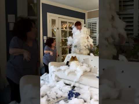 Mom.. It Was The Dog😇