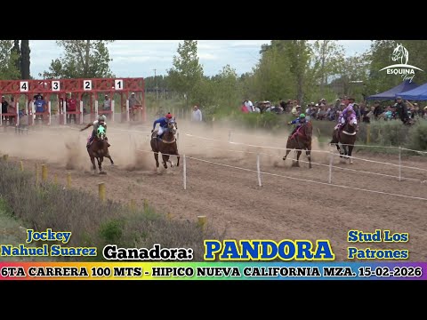 PANDORA (Guaymallen) Hípico Nueva California Mendoza - 15-02-2026
