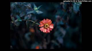 I Still Believe - A1