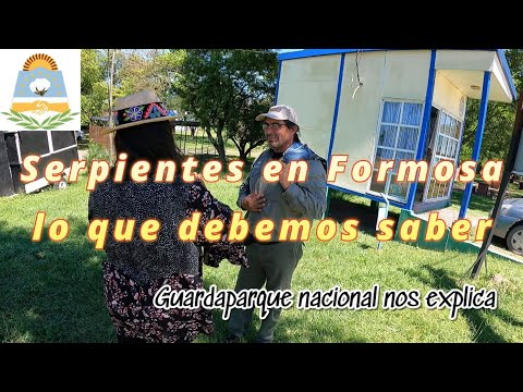 IMPORTANTISIMO‼️SERPIENTES DE FORMOSA, LO QUE DEBEMOS SABER #viral #ofidios #serpientesvenenosas
