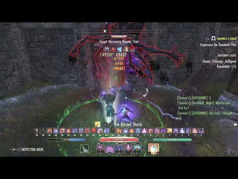 ESO - Magicka Sorcerer PVE 100k DPS - Firesong