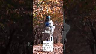 Download lagu Untukmu Ibu - Exist mp3