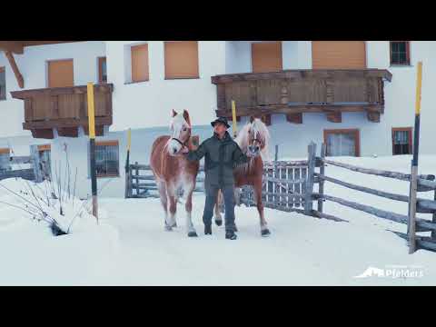 Bergbahnen-Funivie Pfelders | Alberich Hofer