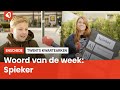 Het Twentse woord van de week: Spieker
