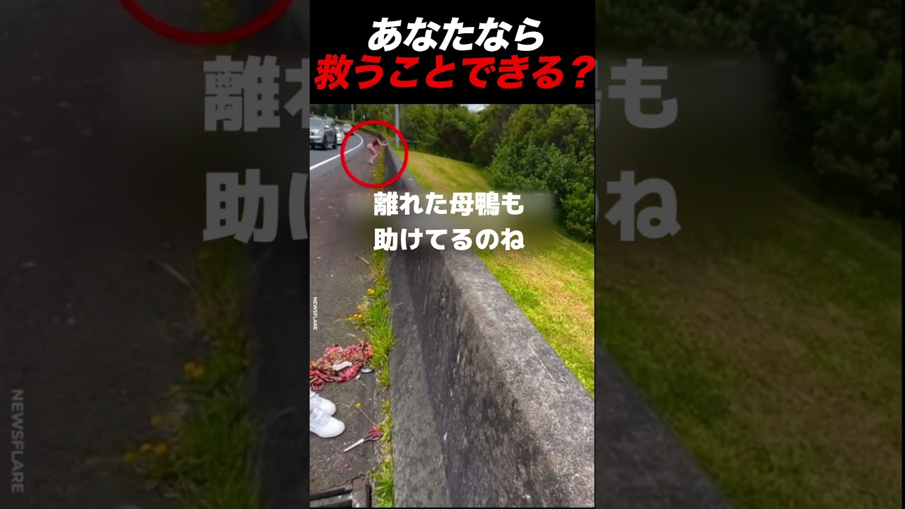 あなただったら○○に自分を汚せる？#shorts