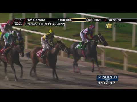 230903 c12 ROOTS PIPO