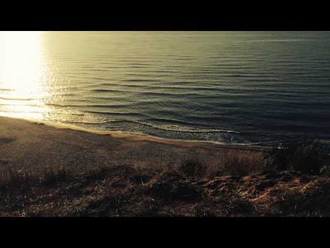 Adrianna Piotrowska WICKED GAME