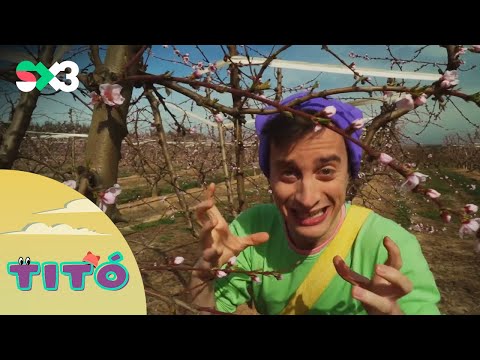 Excursió als presseguers (primavera) | Titó