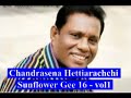 Chandrasena Hettiarachchi With Sunflowers
