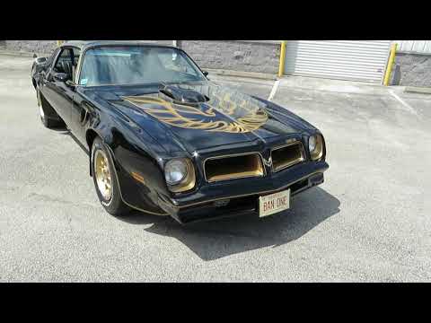1976 Pontiac Firebird Trans Am SE (CC-1358178) for sale in Apopka, Florida