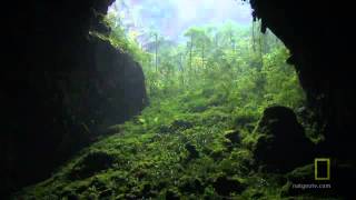 Son Doong Cave - The Biggest and The Most Beautiful Cave in The World