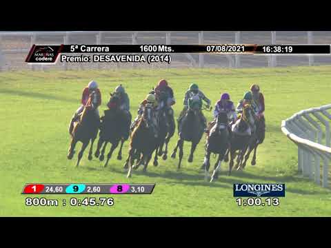 210807 c05 ANACHELLA