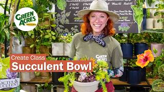 DIY Succulent Bowl: Easy Step-by-Step