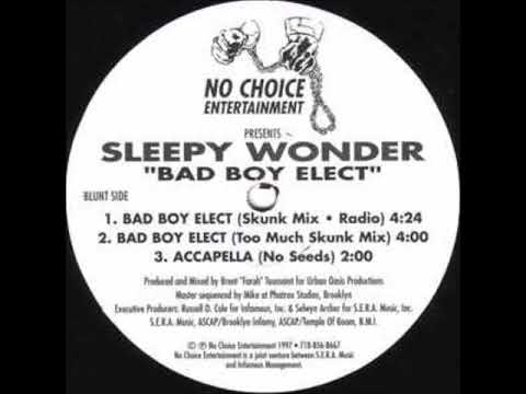 Sleepy Wonder - Bad Boy Elect (Remix)
