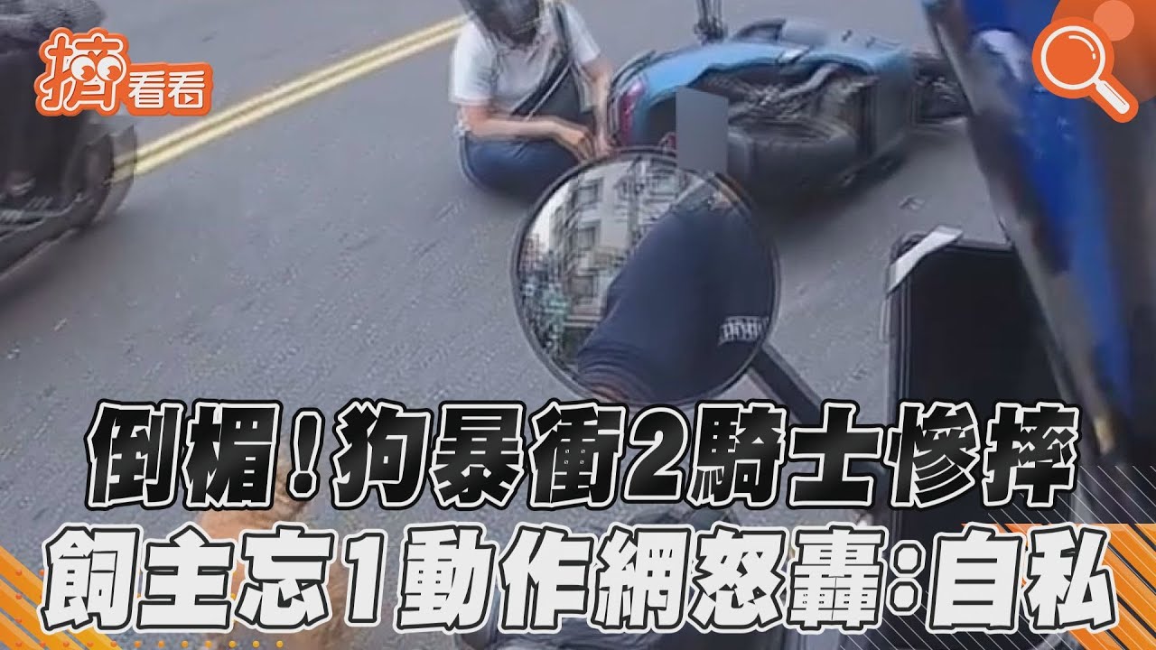 倒楣!狗暴衝2騎士慘摔 飼主忘1動作網怒轟:自私