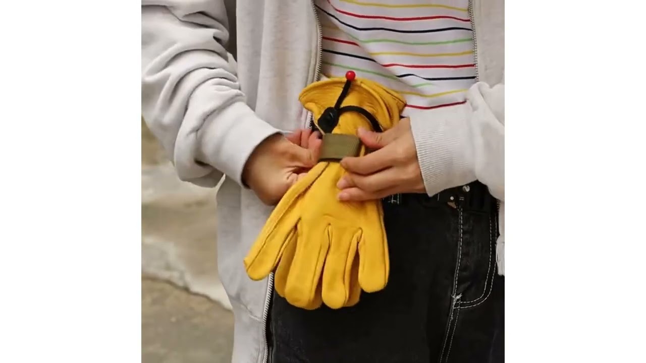 YouTube Video Thumbnail