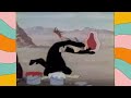 Two Vultures Trying To Eat Each Other