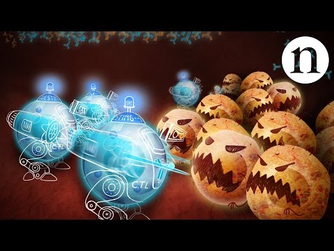 Immunology wars: Monoclonal antibodies