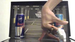 Aloysius Temasek polytechnic