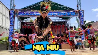 Download lagu KEPANG CELENG SOYO KAWAK SOYO PENAK ‼️‼️LPG CREW MARGO BUDOYO live SEMPAYANG GONDANG mp3 Download lagu KEPANG CELENG SOYO KAWAK SOYO PENAK ‼️‼️LPG CREW MARGO BUDOYO live SEMPAYANG GONDANG mp3