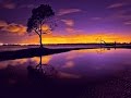 SOME ENCHANTED EVENING - (Lyrics)