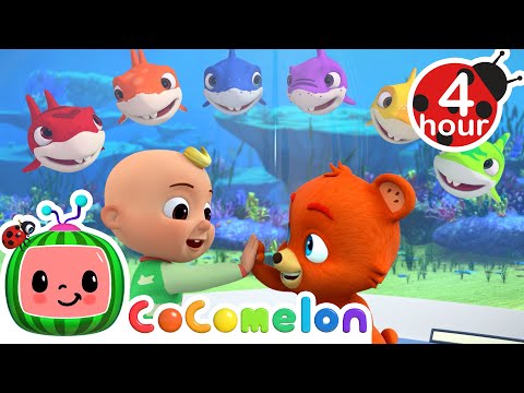 Learning Colors With Baby Shark + More | Cocomelon – Nursery Rhymes | Fun Cartoons For Kids
