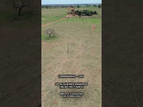 20 Alqueires Mineiros a venda em Carneirinho Mg, área plana.