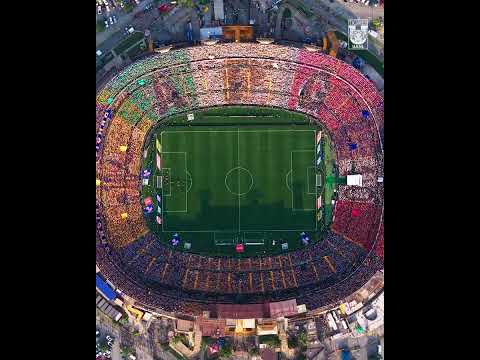"Mosaico de la hinchada de Tigres en homenaje a André-Pierre Gignac" Barra: Libres y Lokos &bull; Club: Tigres &bull; País: México