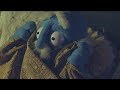 The Fruitcakes - Sleepless (official video) The Fruitcakes - Sleepless (official video)