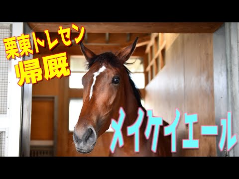 メイケイエール 栗東トレセンへ帰厩