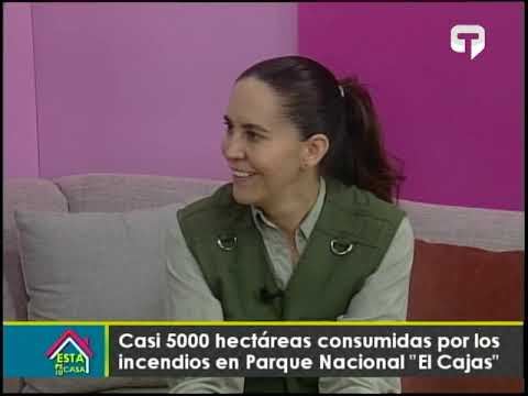 Incendios forestales amenazan último refugio de biodiversidad en el noroccidente de El Cajas
