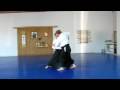 Aikido Freestyle Medley with DAVE GOLDBERG.