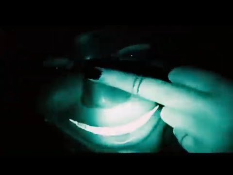 Eryn Martin - SWING (Official Audio Visualizer)